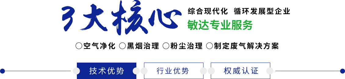 啊…啊啊……啊快操骚逼视频69×敏达环保科技（嘉兴）有限公司